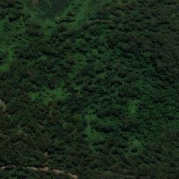 Satellite imagery of Comboyne, AU