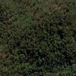Satellite imagery of Cockspur Mountain, AU