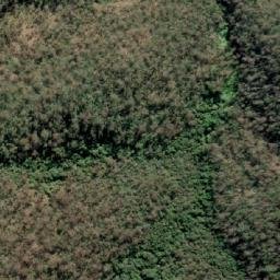 Satellite imagery of Cobbs High Point, AU