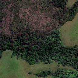 Satellite imagery of Mount Bulli, AU