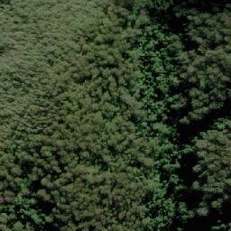 Satellite imagery of Pigeon Top, AU