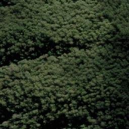 Satellite imagery of Pigeon Top, AU