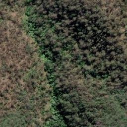 Satellite imagery of Monkeycot Bluff, AU