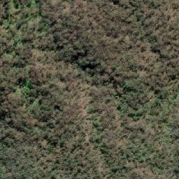 Satellite imagery of Monkeycot Bluff, AU