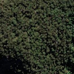 Satellite imagery of Monkeycot Bluff, AU