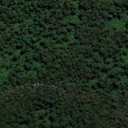 Satellite imagery of Big Nellie, AU