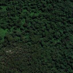 Satellite imagery of Big Nellie, AU