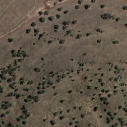 Satellite imagery of Paddys Point, AU