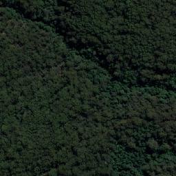 Satellite imagery of Big Nellie, AU