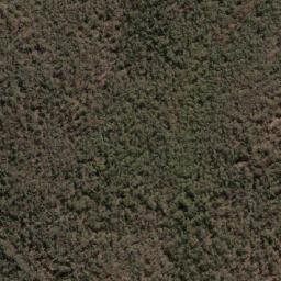 Satellite imagery of Bugle Point, AU