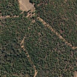 Satellite imagery of Gidgegannup Hill, AU