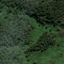 Satellite imagery of Dingo Peak, AU