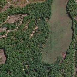 Satellite imagery of survey_point, BR