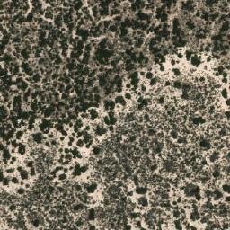 Satellite imagery of Wangunyah Sandhills, AU