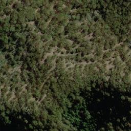 Satellite imagery of Mount Tinagroo, AU