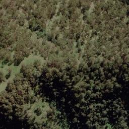 Satellite imagery of Ben Lomond, AU