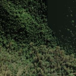 Satellite imagery of Towarri Mountain, AU