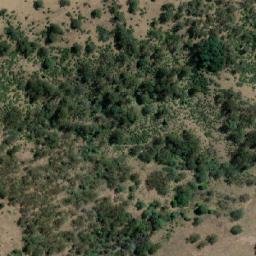 Satellite imagery of Bald Rock, AU