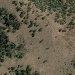 Satellite imagery of Bald Rock, AU