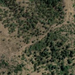 Satellite imagery of Bald Rock, AU