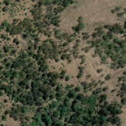 Satellite imagery of Bald Rock, AU