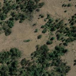 Satellite imagery of Bald Rock, AU