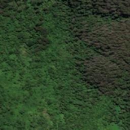 Satellite imagery of Dingo Mountain, AU