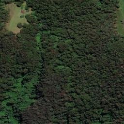 Satellite imagery of Dingo Mountain, AU