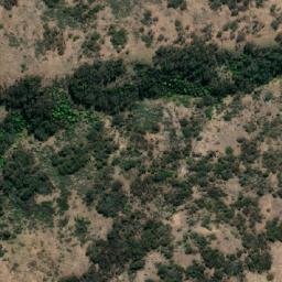 Satellite imagery of Black Mountain, AU