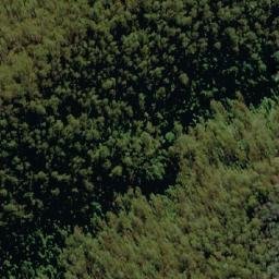 Satellite imagery of Barrington Tops, AU