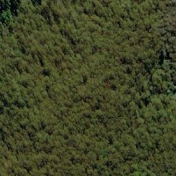 Satellite imagery of Barrington Tops, AU