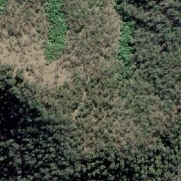 Satellite imagery of Yellokok Mountain, AU