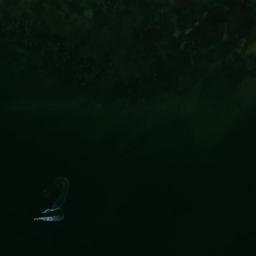 Satellite imagery of Pelican Point, AU