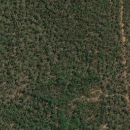 Satellite imagery of Mount Gungin, AU