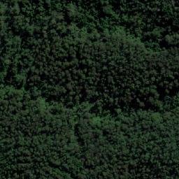 Satellite imagery of Taree Lookout, AU