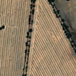 Satellite imagery of Corrigin, AU