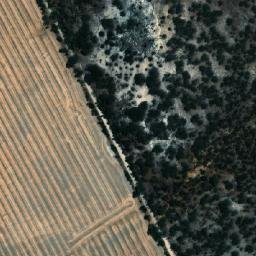 Satellite imagery of Corrigin, AU