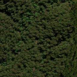 Satellite imagery of Meehans Peak, AU