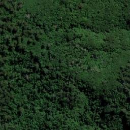 Satellite imagery of Mount Talawahl, AU
