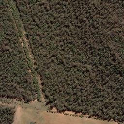 Satellite imagery of Gamba, AU