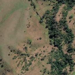 Satellite imagery of Wallaby Hill, AU