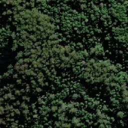 Satellite imagery of Mount Nelson, AU