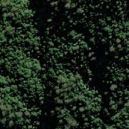 Satellite imagery of Mount Nelson, AU