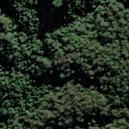 Satellite imagery of Mount Nelson, AU