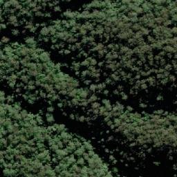 Satellite imagery of Mount Nelson, AU