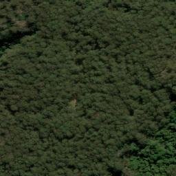 Satellite imagery of Broocoloot Bald, AU