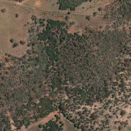 Satellite imagery of Talbragar, AU