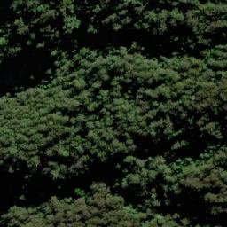 Satellite imagery of TS5599WANGAT, AU