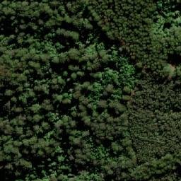 Satellite imagery of TS5599WANGAT, AU