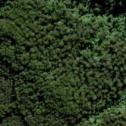 Satellite imagery of TS5599WANGAT, AU